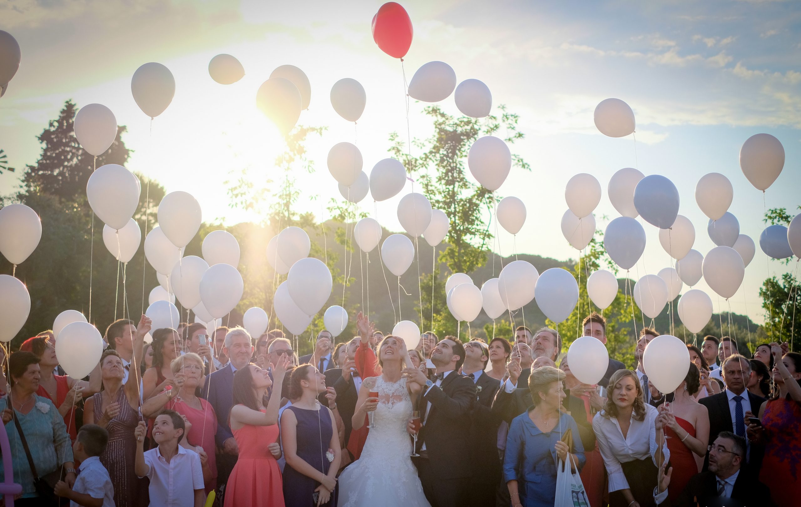 Bodas 1009