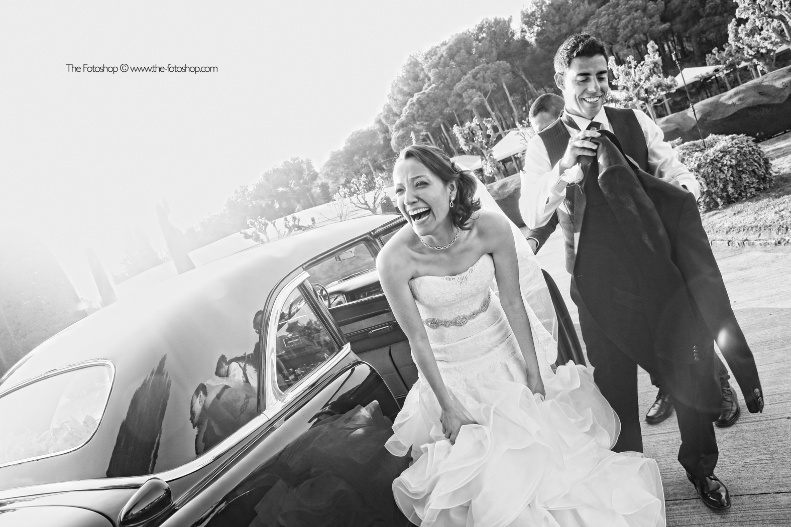 Bodas 7 Copia