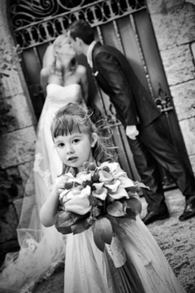 Bienvenido Al Blog De The Fotoshop